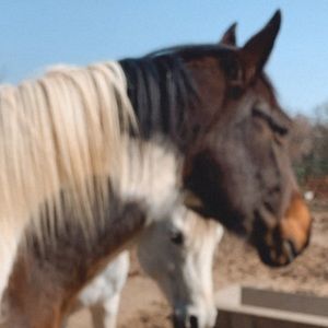 Meet your Posher, Sage